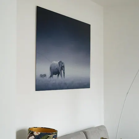 In Apartment Wachtberg